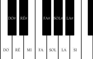 Cours de piano: Comment se nomment les touches de mon piano