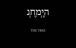 Sortie de l’album de Dorian Chamoin – The Tree